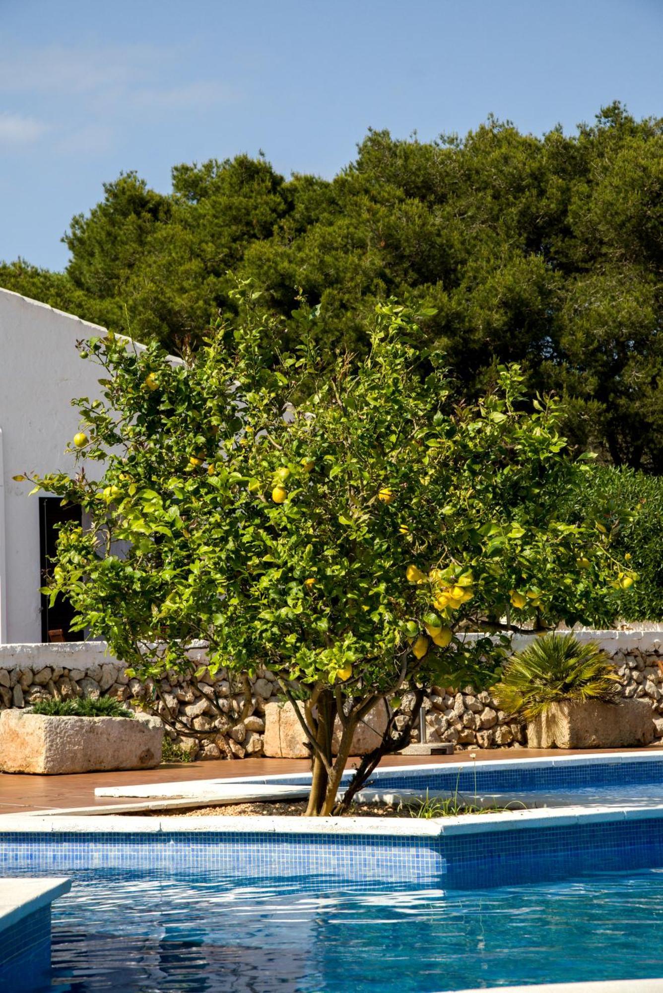 Hotel Binissafullet Vell Sant Lluis