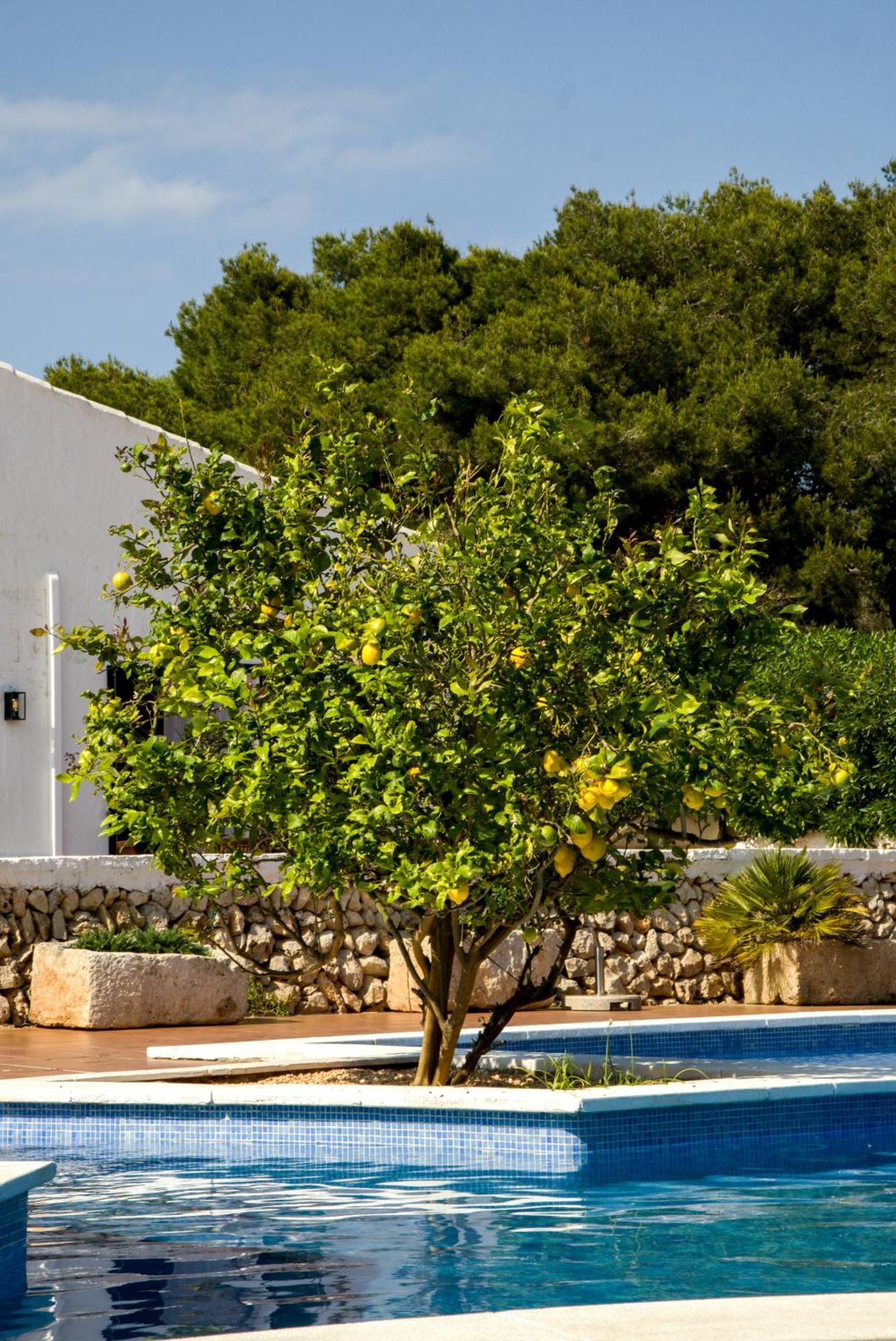 Binissafullet Vell Hotel Sant Lluis